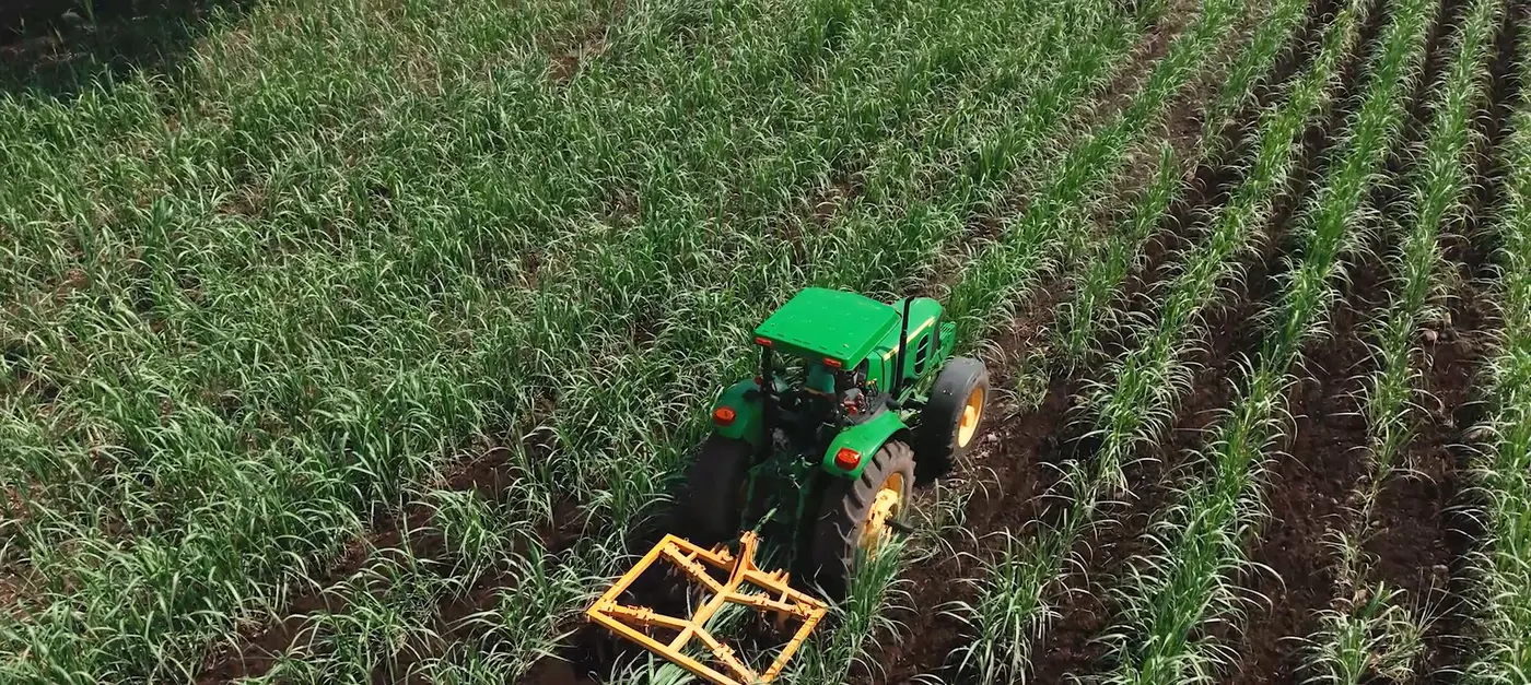 Tractor trabajando un campo de caña de azúcar
